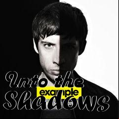 Box art for Into the Shadows