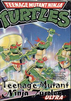 Box art for Teenage Mutant Ninja Turtles 