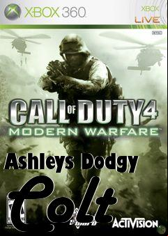 Box art for Ashleys Dodgy Colt