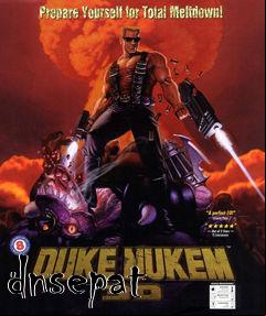 Box art for dnsepat
