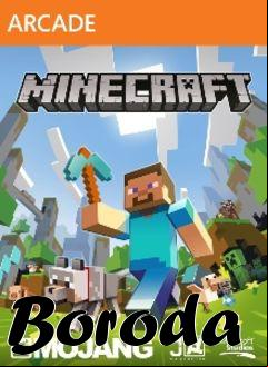 Box art for Boroda