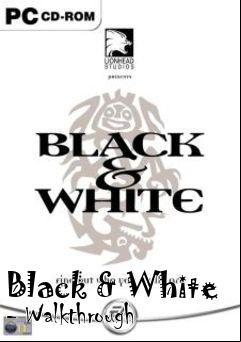 Box art for Black & White - Walkthrough